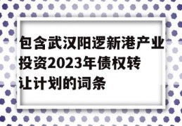 包含武汉阳逻新港产业投资2023年债权转让计划的词条