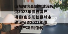 山东阳信县城市建设投资2023年债权资产项目(山东阳信县城市建设投资2023年债权资产项目招标)