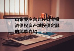 山东枣庄台儿庄财金投资债权资产城投债定融的简单介绍