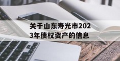 关于山东寿光市2023年债权资产的信息