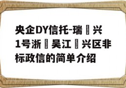 央企DY信托-瑞‬兴1号浙‮吴江‬兴区非标政信的简单介绍