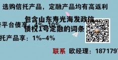 包含山东寿光海发政信债权1号定融的词条