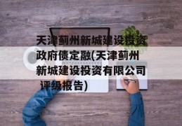 天津蓟州新城建设投资政府债定融(天津蓟州新城建设投资有限公司 评级报告)