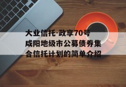 大业信托-政享70号咸阳地级市公募债券集合信托计划的简单介绍