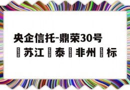 央企信托-鼎荣30号‮苏江‬泰‮非州‬标