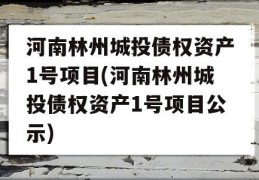 河南林州城投债权资产1号项目(河南林州城投债权资产1号项目公示)