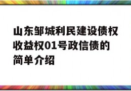 山东邹城利民建设债权收益权01号政信债的简单介绍