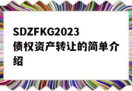 SDZFKG2023债权资产转让的简单介绍