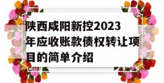 陕西咸阳新控2023年应收账款债权转让项目的简单介绍