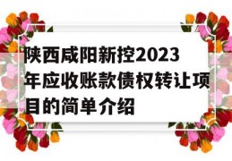 陕西咸阳新控2023年应收账款债权转让项目的简单介绍