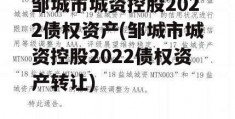 邹城市城资控股2022债权资产(邹城市城资控股2022债权资产转让)