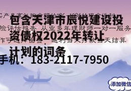 包含天津市辰悦建设投资债权2022年转让计划的词条