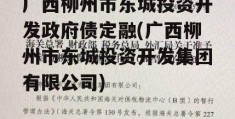 广西柳州市东城投资开发政府债定融(广西柳州市东城投资开发集团有限公司)