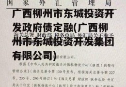 广西柳州市东城投资开发政府债定融(广西柳州市东城投资开发集团有限公司)