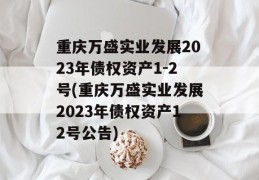 重庆万盛实业发展2023年债权资产1-2号(重庆万盛实业发展2023年债权资产12号公告)