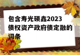 包含寿光硕鑫2023债权资产政府债定融的词条