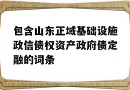 包含山东正域基础设施政信债权资产政府债定融的词条