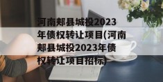 河南郏县城投2023年债权转让项目(河南郏县城投2023年债权转让项目招标)