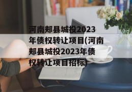 河南郏县城投2023年债权转让项目(河南郏县城投2023年债权转让项目招标)