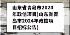 山东省青岛市2024年政信项目(山东省青岛市2024年政信项目招标公告)