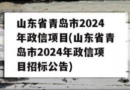 山东省青岛市2024年政信项目(山东省青岛市2024年政信项目招标公告)