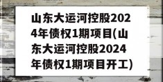 山东大运河控股2024年债权1期项目(山东大运河控股2024年债权1期项目开工)