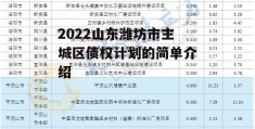 2022山东潍坊市主城区债权计划的简单介绍