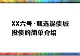 XX六号·甄选混债城投债的简单介绍