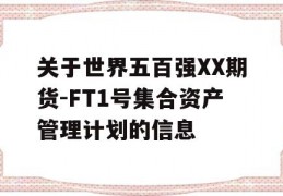 关于世界五百强XX期货-FT1号集合资产管理计划的信息