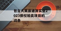 包含大英县通源实业2023债权拍卖项目的词条