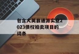 包含大英县通源实业2023债权拍卖项目的词条