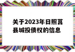 关于2023年日照莒县城投债权的信息