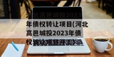 河北高邑城投2023年债权转让项目(河北高邑城投2023年债权转让项目开工)