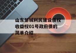 山东邹城利民建设债权收益权01号政府债的简单介绍