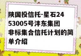 陕国投信托-星石2453005号沣东集团非标集合信托计划的简单介绍