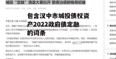 包含汉中市城投债权资产2022政府债定融的词条