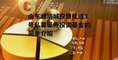 山东潍坊城投债优选3号私募证券投资基金的简单介绍