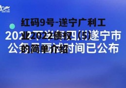 红码9号-遂宁广利工业2022债权（5）的简单介绍