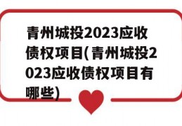 青州城投2023应收债权项目(青州城投2023应收债权项目有哪些)