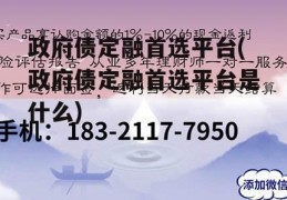 政府债定融首选平台(政府债定融首选平台是什么)