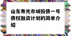 山东寿光市城投债一号债权融资计划的简单介绍