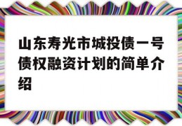 山东寿光市城投债一号债权融资计划的简单介绍