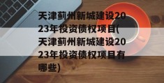 天津蓟州新城建设2023年投资债权项目(天津蓟州新城建设2023年投资债权项目有哪些)