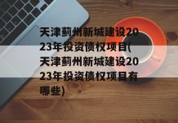 天津蓟州新城建设2023年投资债权项目(天津蓟州新城建设2023年投资债权项目有哪些)