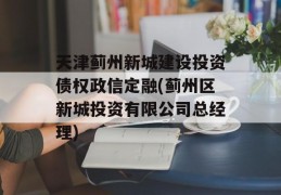 天津蓟州新城建设投资债权政信定融(蓟州区新城投资有限公司总经理)