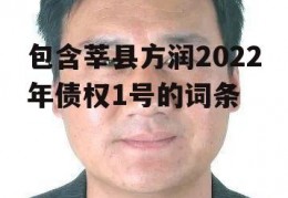 包含莘县方润2022年债权1号的词条