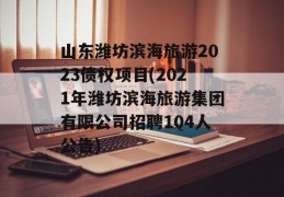 山东潍坊滨海旅游2023债权项目(2021年潍坊滨海旅游集团有限公司招聘104人公告)