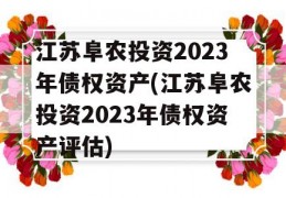 江苏阜农投资2023年债权资产(江苏阜农投资2023年债权资产评估)