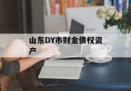 山东DY市财金债权资产