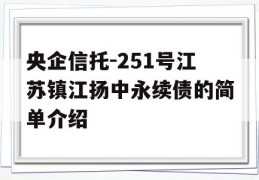 央企信托-251号江苏镇江扬中永续债的简单介绍